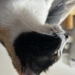 tla147258的头像-VAM®克苏恩资源社区