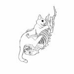 LingLingEntropy的头像-VAM®克苏恩资源社区