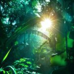 NZW9527的头像-VAM®克苏恩资源社区