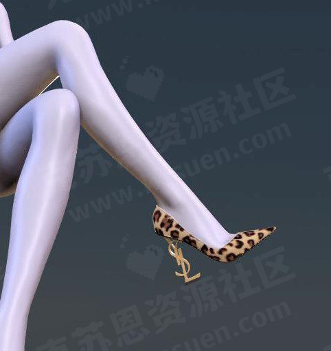 图片[2]-服饰AWG.YSL_Classic_heel-VAM®克苏恩资源社区
