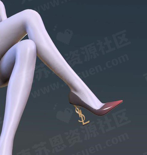 图片[3]-服饰AWG.YSL_Classic_heel-VAM®克苏恩资源社区