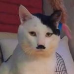 LOGANZGA的头像-VAM®克苏恩资源社区