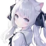 圆圆的头像-VAM®克苏恩资源社区