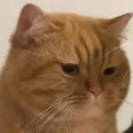 胖DC的头像-VAM®克苏恩资源社区