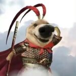 6B666的头像-VAM®克苏恩资源社区