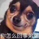 a86838569的头像-VAM®克苏恩资源社区